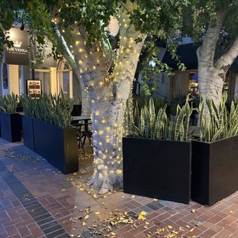 The Venue - Sushi Bars Near Me - Palm Desert, California The Venue - Sushi Bars Near Me - Palm Desert, California