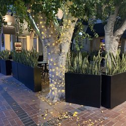 The Venue