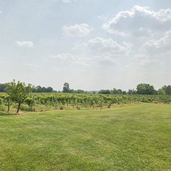 1840 Farmhouse - Wineries Near Me - Orono, Ontario