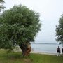 Badestrand Mili