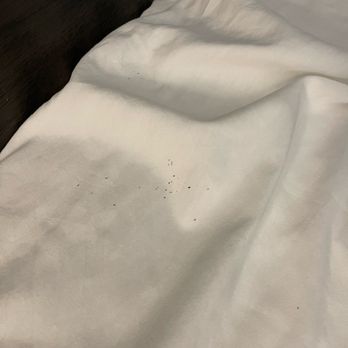 Best Western Executive Inn - Looks like some sorts of facial dead skin/ scabs / and facial hair - Hotels Near Me - Corsicana, Texas Best Western Executive Inn - Looks like some sorts of facial dead skin/ scabs / and facial hair - Hotels Near Me - Corsicana, Texas