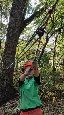 HIGHER GROUND TREE CARE - Updated July 2026 - 25 Photos & 12 Reviews ...