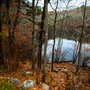 Photo of Beebe Woods