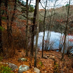 Beebe Woods