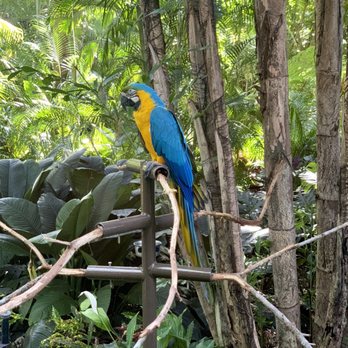 Discovery Cove - Amusement Parks Near Me - Orlando, Florida