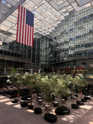 Cardigan Donuts - IDS Center by null