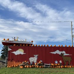 Carma Farms