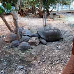 Odense Zoo 65 Photos Updated Amusement Parks Sdr Boulevard 306 Odense Denmark Phone Number Yelp