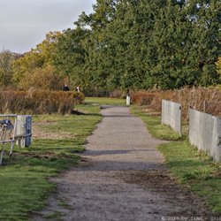 Horner Rennbahn - Parkanlage im Rund (11/2018)
