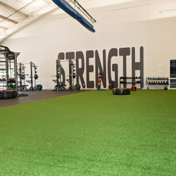 Turf space where FT, Boxing and other classes are held.