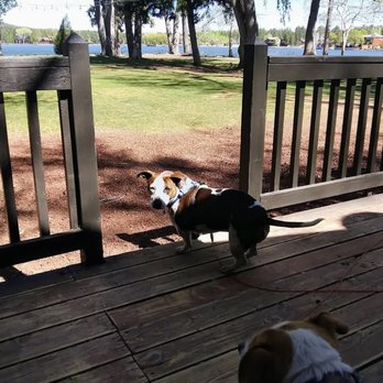 Lazy Oaks Resort - The girls - Resorts Near Me - Lakeside, Arizona Lazy Oaks Resort - The girls - Resorts Near Me - Lakeside, Arizona