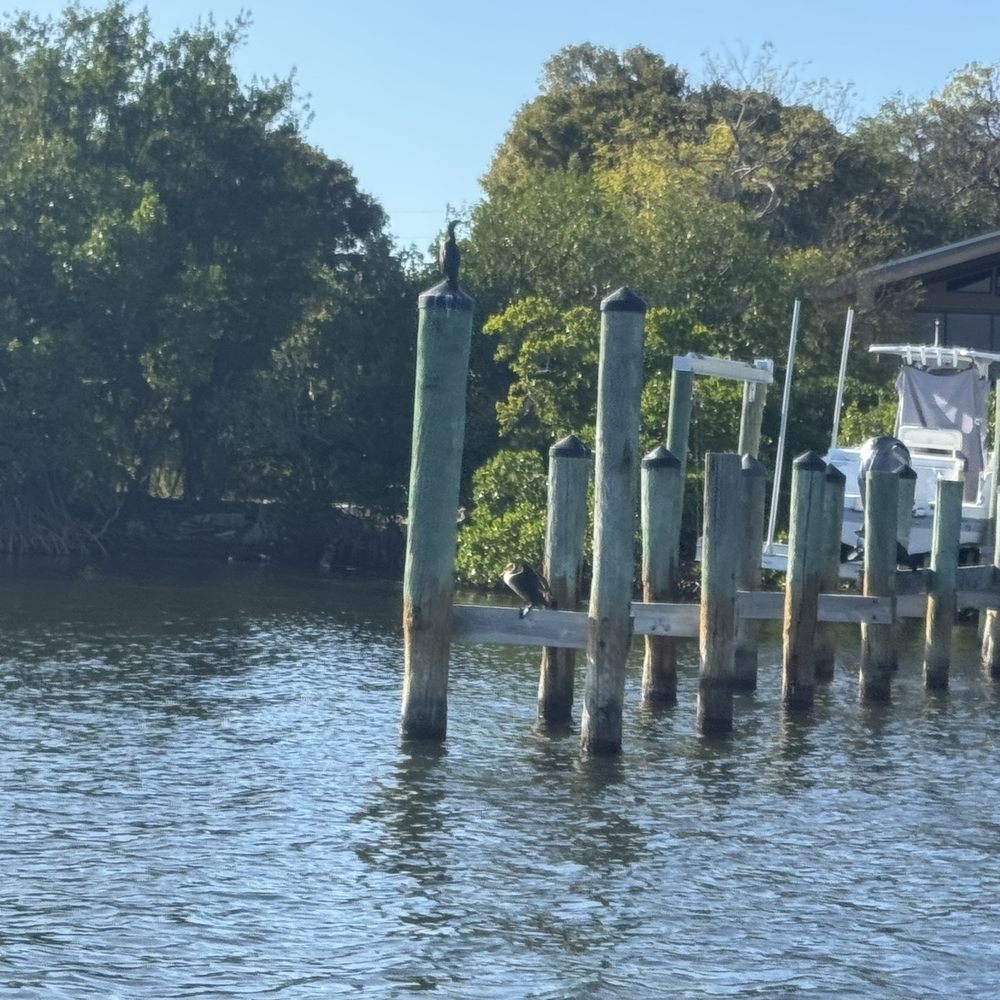 Captain Sterling's Boat Tours - Boat Tours Near Me - Key Largo, Florida