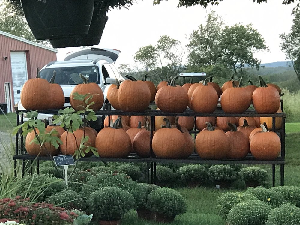 HOULDEN FARM Updated September 2024 139 Old Westboro Rd, Grafton