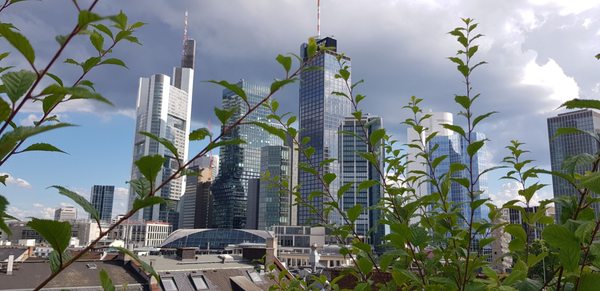Sofitel Frankfurt Opera by null