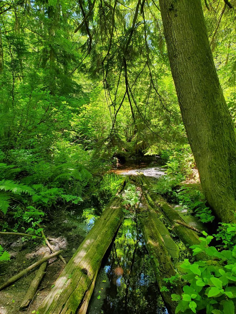 MCCORMICK FOREST PARK 18 Photos 10301 Bujacich Rd NW, Gig Harbor