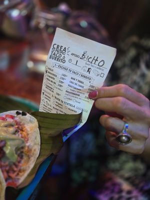 The Surfin Burrito by null