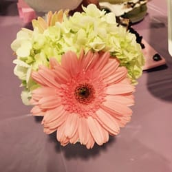 A Flower Hutt - Gerber daisies