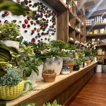 Semicolon Cafe - Upstairs - Coffee & Tea Near Me - Jersey City, New Jersey