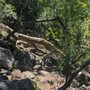 Photo of Linda Falls Preserve Hiking