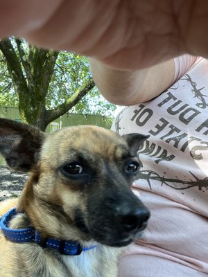 Union Place Bar & Grill by null