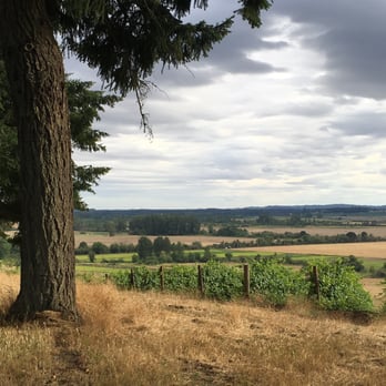 Ankeny Vineyard - View of the vineyard from the top of the hill - Wineries Near Me - Salem, Oregon