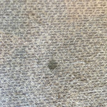 Holbeck Ghyll Country House Hotel - Stained flooring in the signature suite - Hotels Near Me - Windermere, CMA