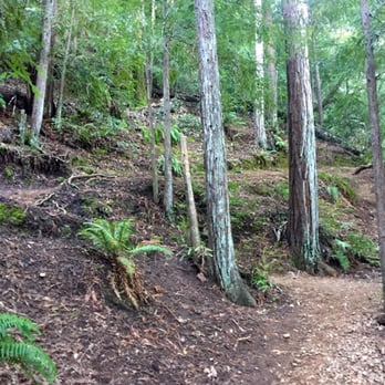 Dawn Falls - Switchbacks- the only steep part right before the top of the falls - Hiking Near Me - Larkspur, California