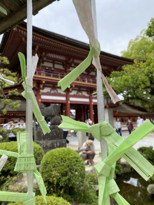 Dazaifu-tenmangu Shrine by null