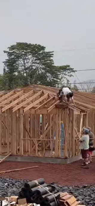 Slide of Triple L Contractor