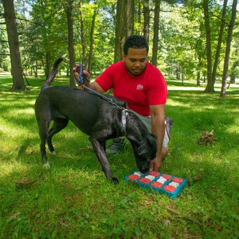 LECA - Dog Walkers Near Me - Little Falls, New Jersey