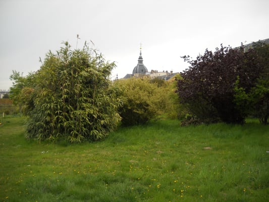 Potager du Roi by null