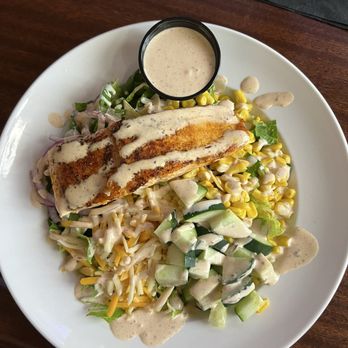 Iron Horse Pub - Blackened Salmon Salad - Sports Bars Near Me - Bristol, Connecticut Iron Horse Pub - Blackened Salmon Salad - Sports Bars Near Me - Bristol, Connecticut