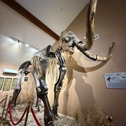 Museum of Native American History