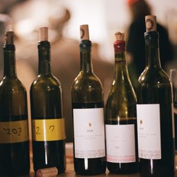 Lil' Dame - Wines at Lil' DAME