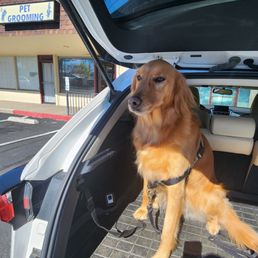 Gia girls 1st time to a groomer.