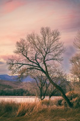 Pahranagat National Wildlife Refuge by null