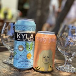 Canyon Club Brewery - Kyla kombuchas Busty Lush