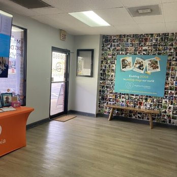 Dogtopia of Palm Harbor - Pet Sitting Near Me - Palm Harbor, Florida Dogtopia of Palm Harbor - Pet Sitting Near Me - Palm Harbor, Florida