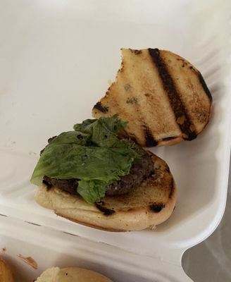 Black Sheep Lodge by null