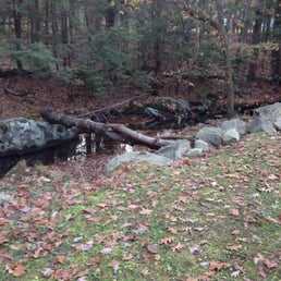 Stream nearby Stream nearby