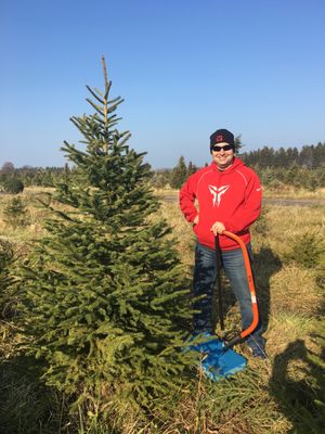 Wilbert S Tree Farm 1325 Salt Rd Webster Ny Garden Centers