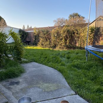 Delta Charlie Sod - Before - Landscaping Near Me