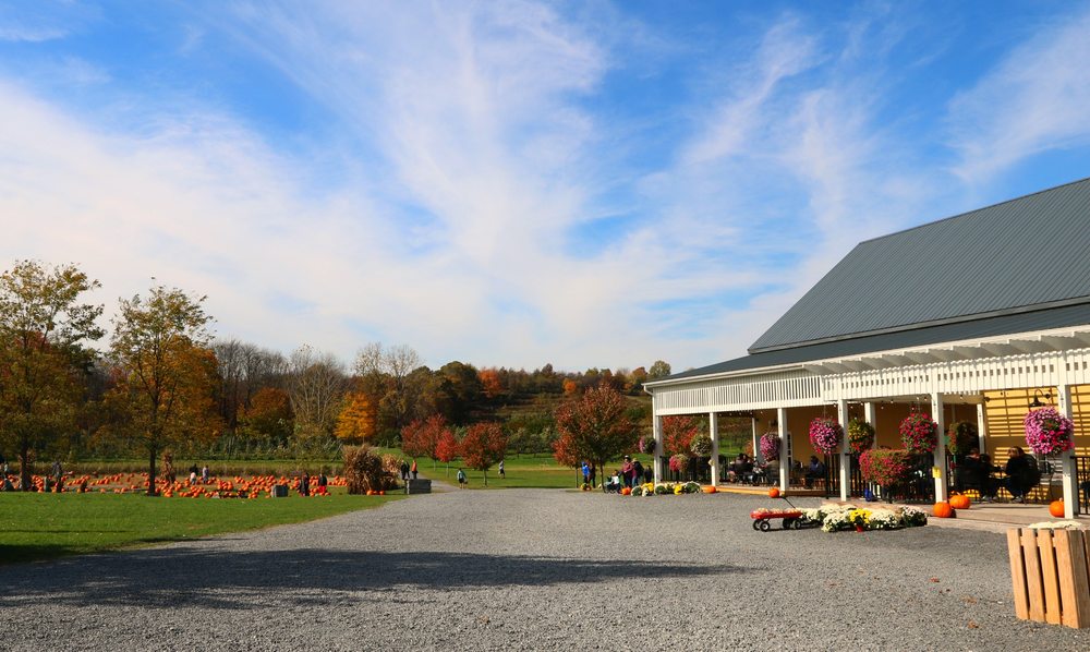 DuBois Farms Takeout & Delivery 282 Photos & 67 Reviews Bakeries