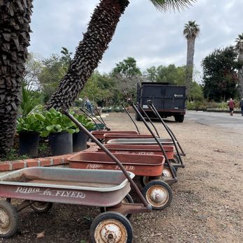 Ganter Nursery - I fell in love with these radio flyers ! - Nurseries & Gardening Near Me - Vista, California Ganter Nursery - I fell in love with these radio flyers ! - Nurseries & Gardening Near Me - Vista, California
