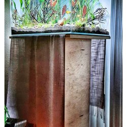 Wet Spot Tropical Fish