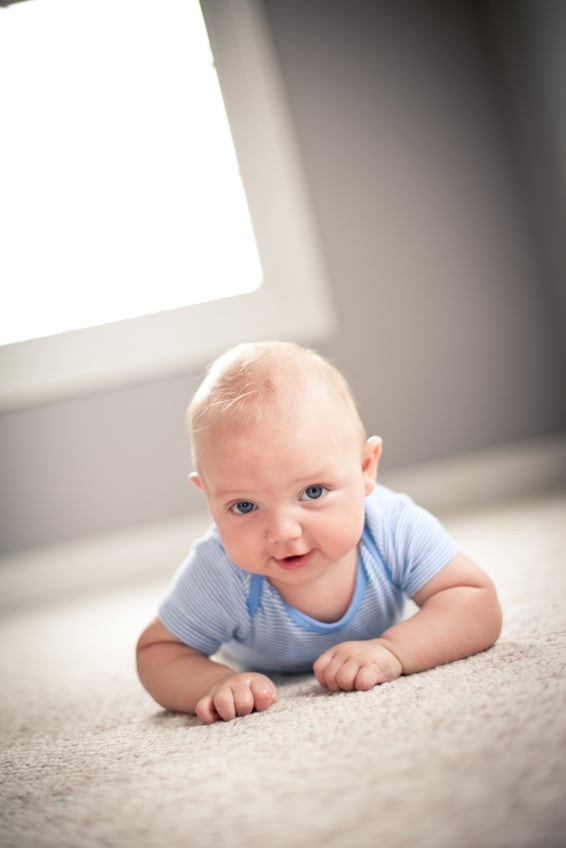 SOUTH BAY CARPET CLEANING 14 Photos & 28 Reviews Redondo Beach, CA