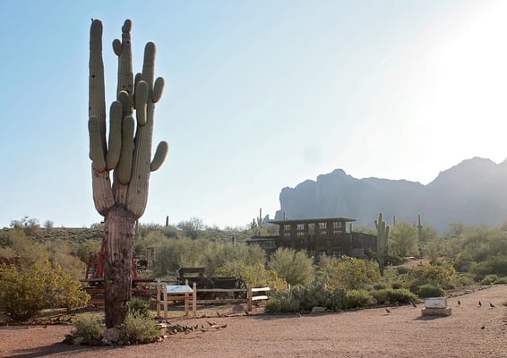 Apache Trail by null