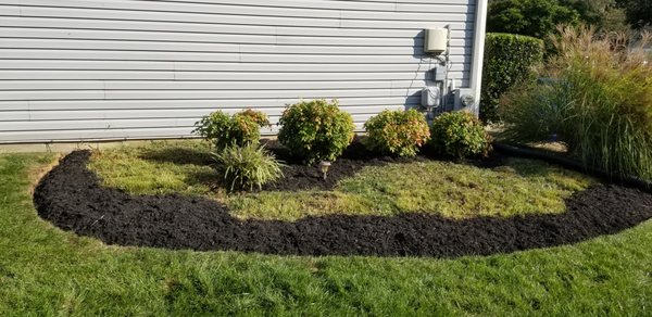 Rod & Staff Solutions