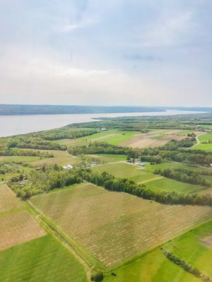 Hosmer Winery by null