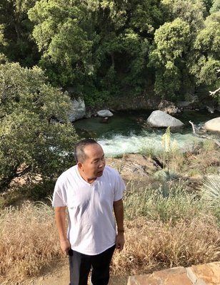Sequoia National Park's Tunnel Log by null